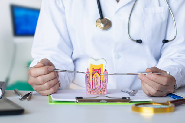 Best Emergency Dental Extractions in West Brownsville, PA